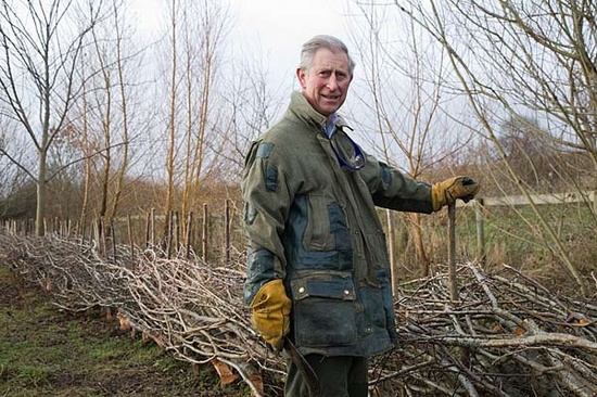 Charles’s appeal over bird catching