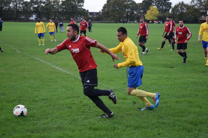 Yalova, coştu: 4-0 (VİDEO)