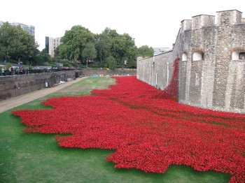 Millions expected to visit poppies