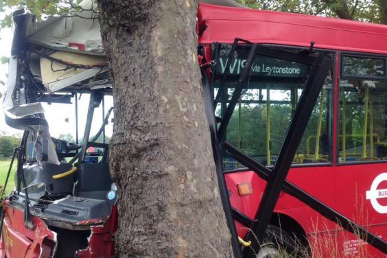 Otobüs ağaca çarptı: 12 yaralı var