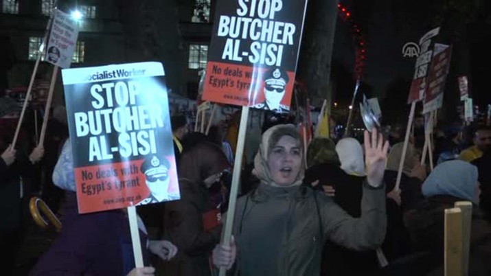 Sisi için Cameron’a  ‘Dur’ protestosu