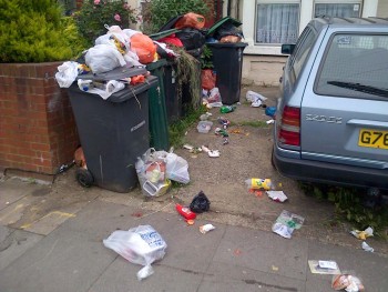 Twice-daily Rubbish collection introduced by Haringey council