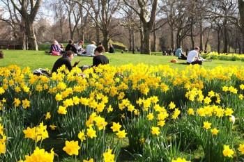 Londra’da hafta sonu bahar havası olacak