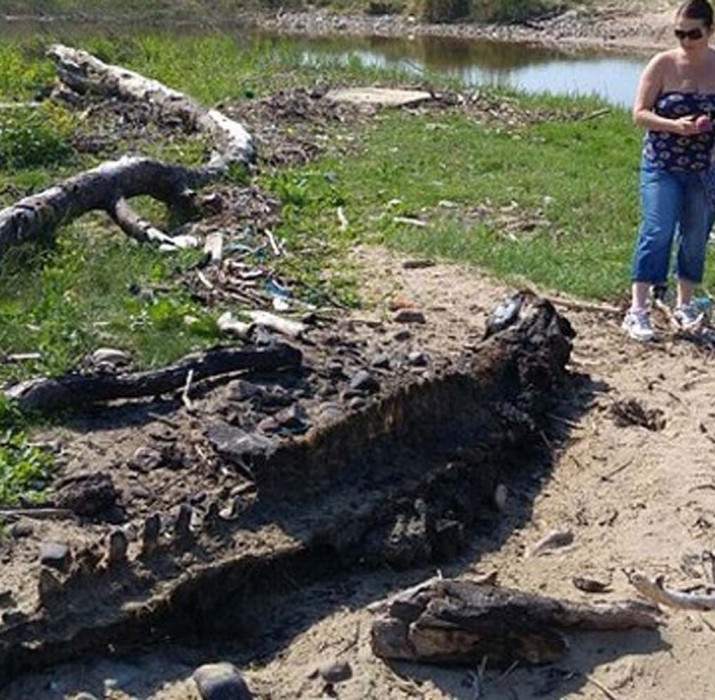 İngiltere’de 3,35 metrelik canlı kalıntısı bulundu