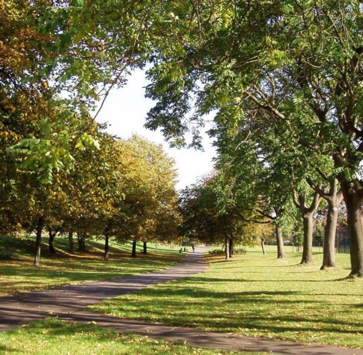 Park’ta bir kişiyi yaralayan saldırgan aranıyor