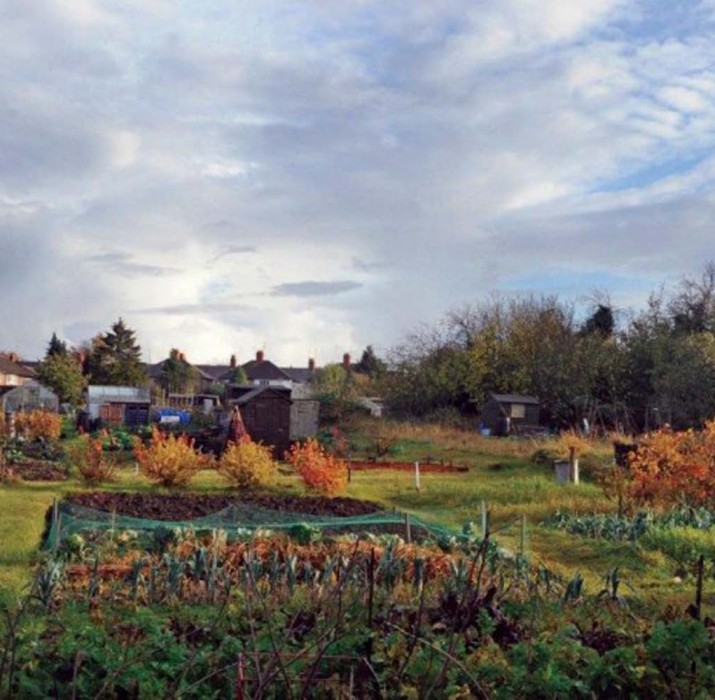 National Allotment Week commences