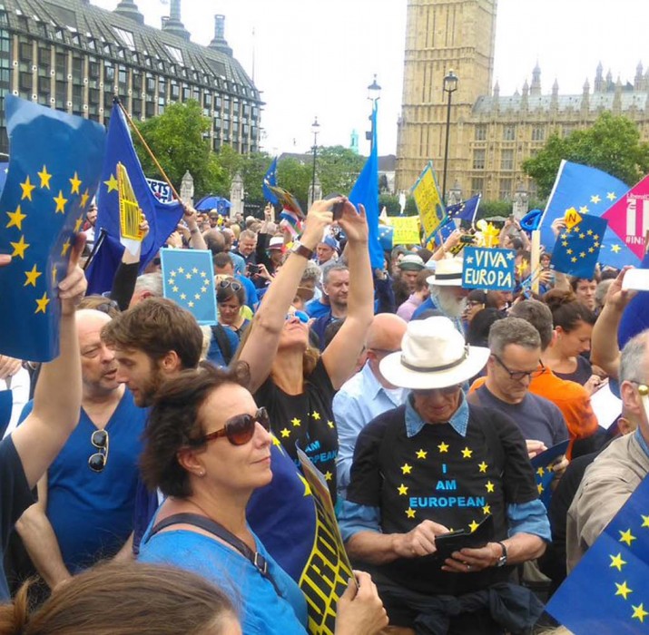 Pro-EU campaigners protested the wakes of Brexit