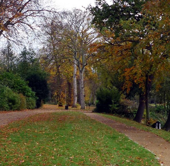 Man jailed after rape attempt in park thwarted by victim biting his hand