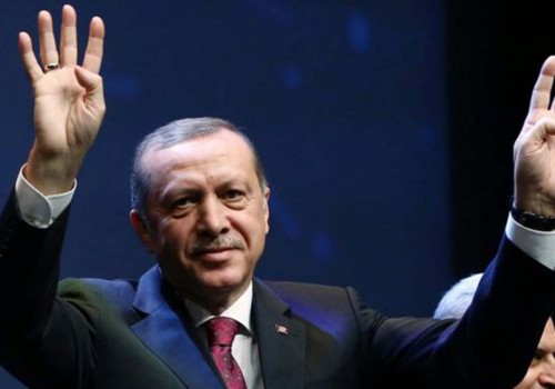 “Erdoğan siyasi temizlikle gücü elinde topluyor”