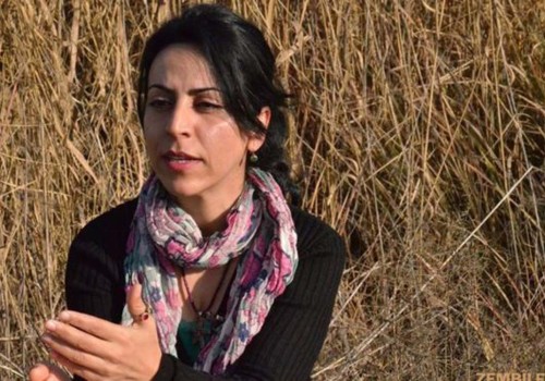 BBC Türkçe muhabiri Hatice Kamer serbest bırakıldı
