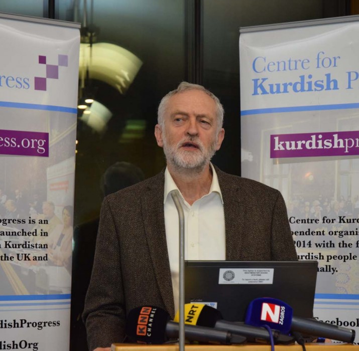 National support from UK to HDP