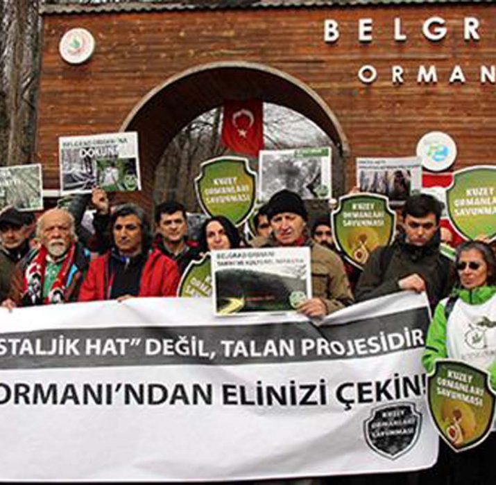 Environmentalists protest tramway construction in Istanbul’s Belgrade Forest
