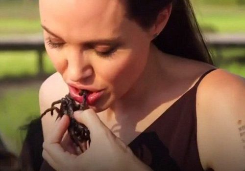Angelina Jolie örümcek yedi