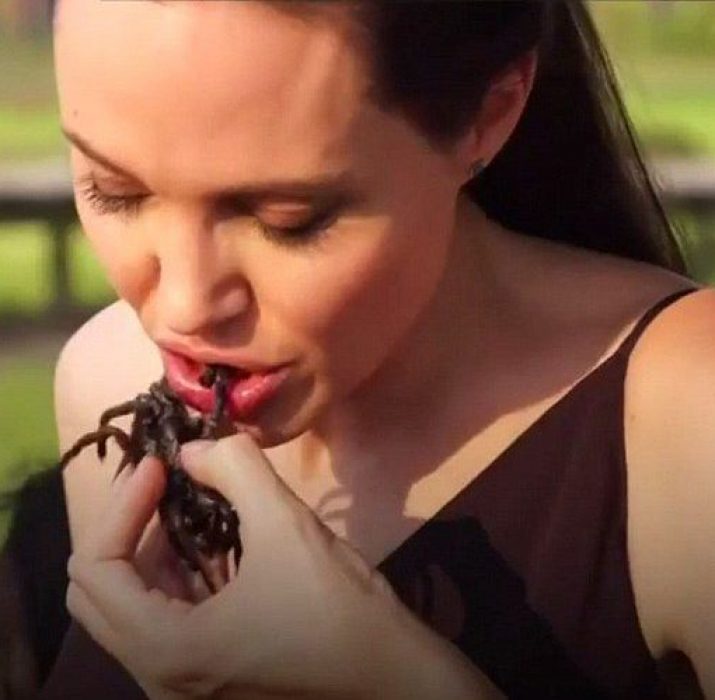 Angelina Jolie örümcek yedi