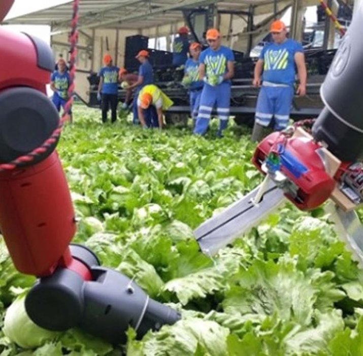 Brexit, robotları tarım işçisi yapacak