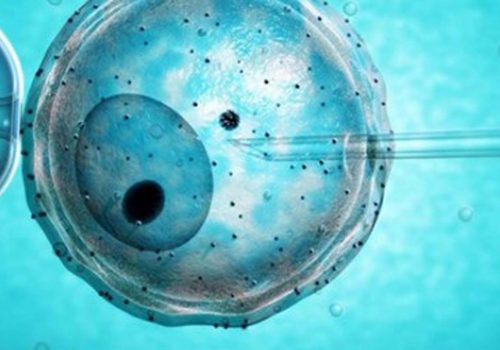İlk kez yapay embriyo üretildi