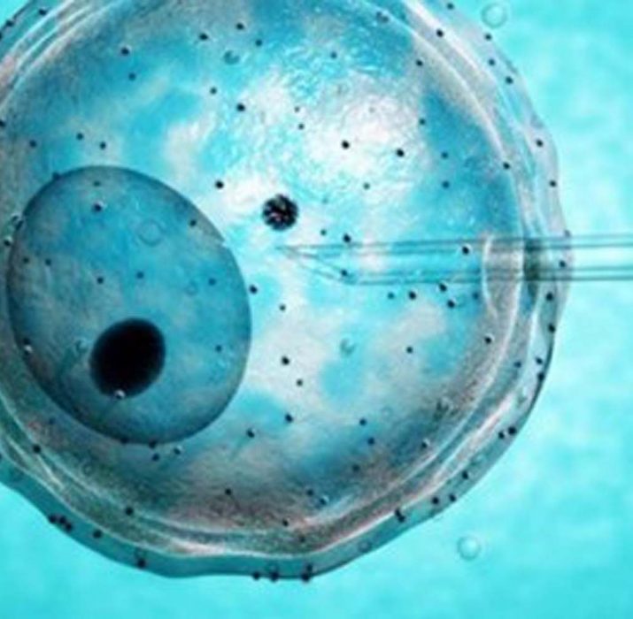İlk kez yapay embriyo üretildi