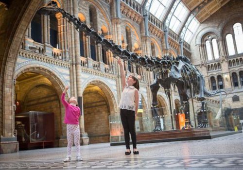 Dinozorlar İngiltere’de ortaya çıkmış olabilir