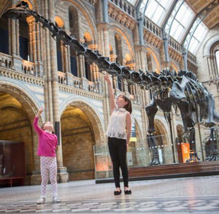 Dinozorlar İngiltere’de ortaya çıkmış olabilir
