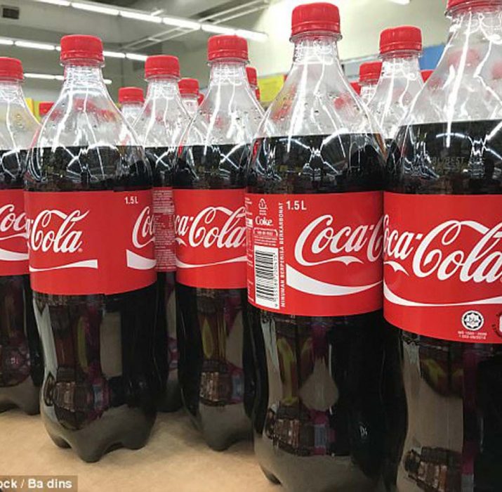 Coca Cola’nın plastik şişelerinin okyanuslara zararı “şok edici boyutlarda”