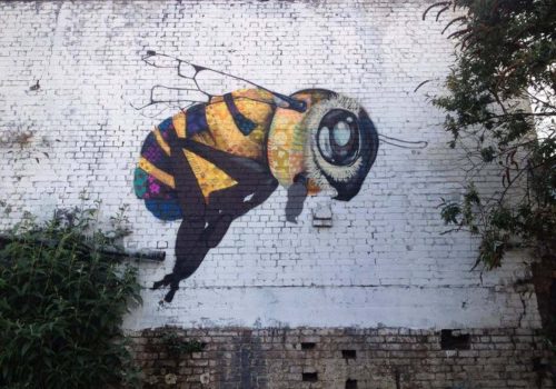 Arıların ölümüne dikkat çekmek için duvar resimleri yapıyorlar