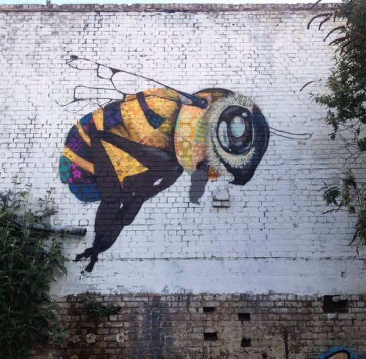 Arıların ölümüne dikkat çekmek için duvar resimleri yapıyorlar