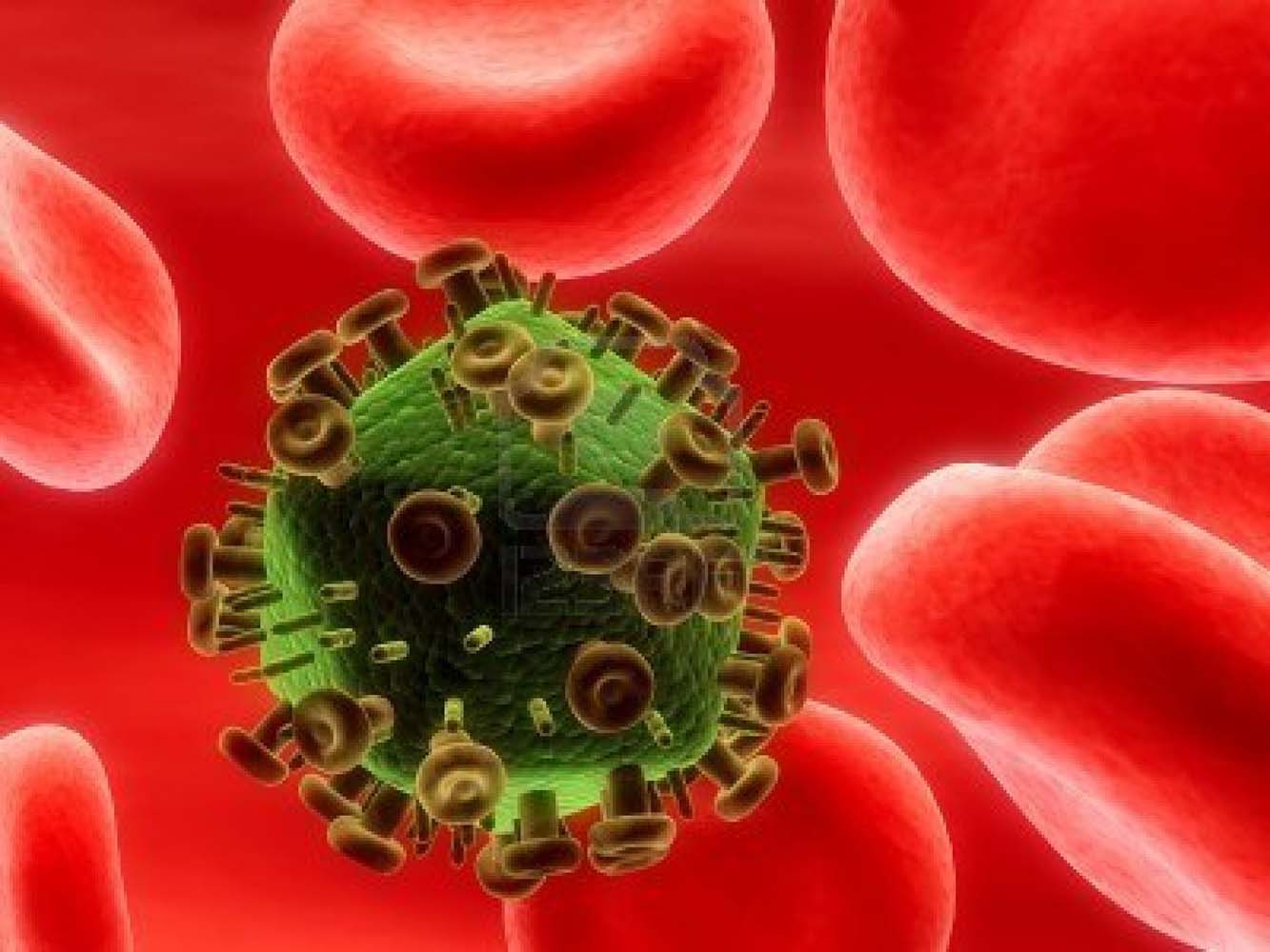 Yapılan son bir bilimsel araştırmaya göre, AIDS hastalığına neden olan HIV ...