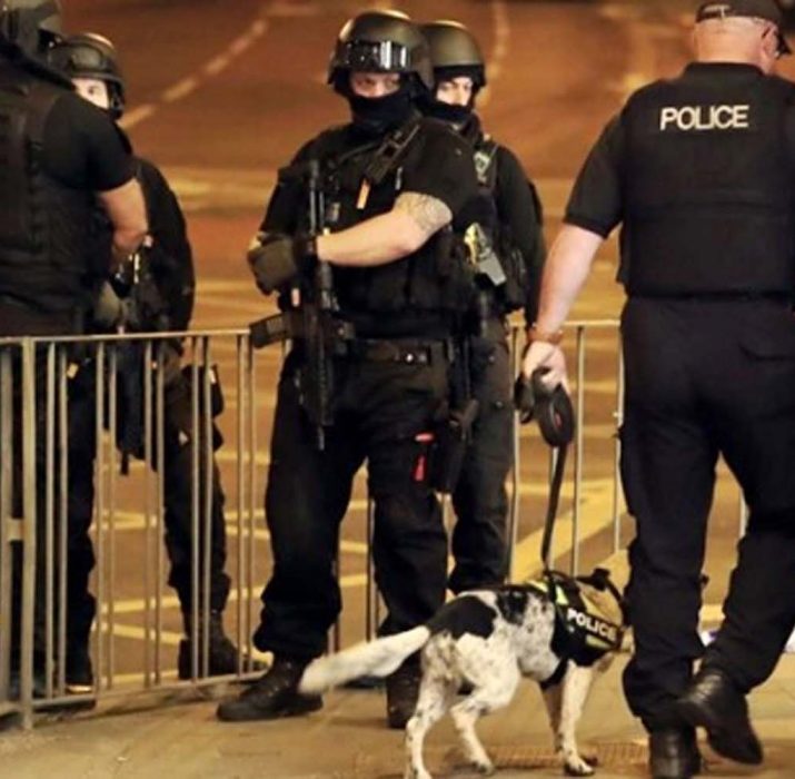 İngiltere’de terör tehdit seviyesi düşürüldü