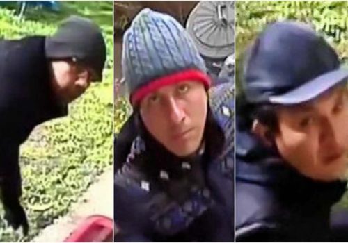 Police release CCTV in hunt for burglars who stole antique collection from Wimbledon home