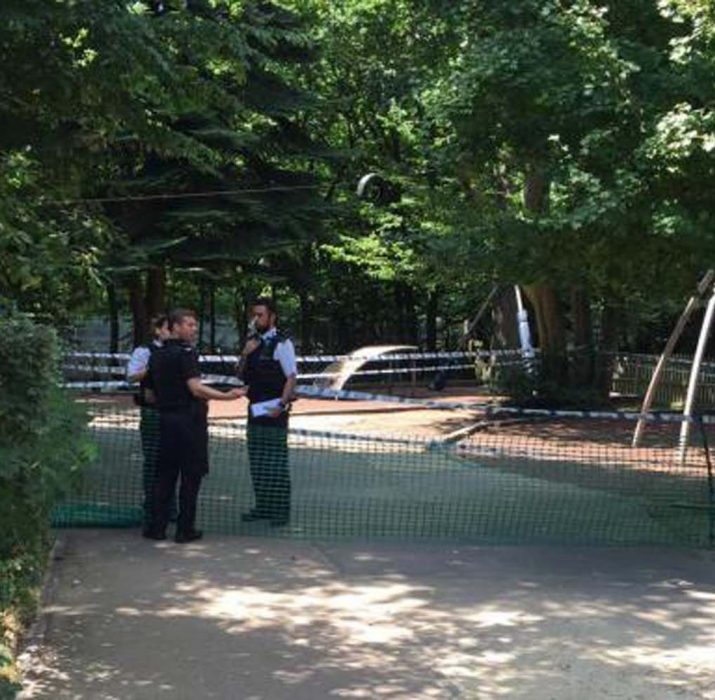 Girl, 5, sexually assaulted at children’s playground in Highgate Wood
