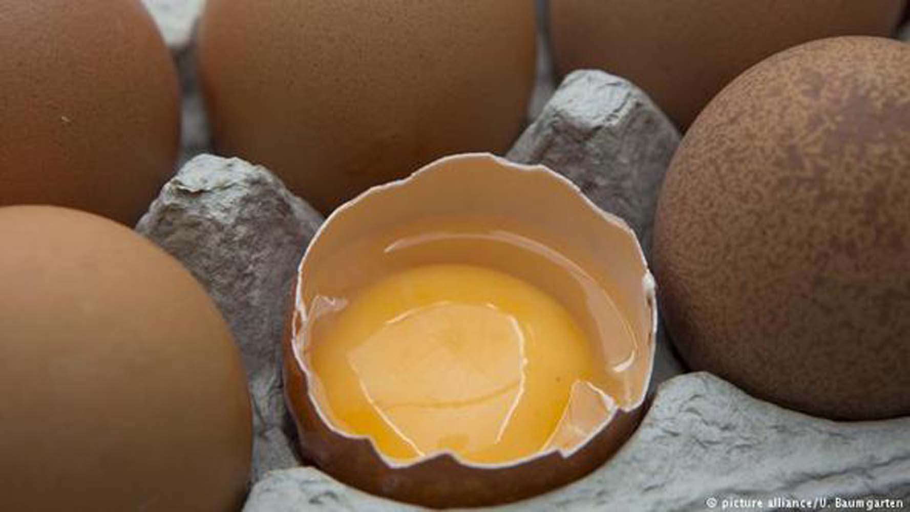 Цены на яйца в странах