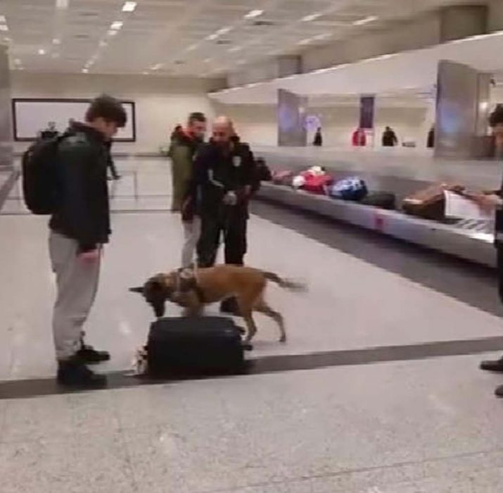 Turkish police use dogs to search belongings of Dutch passengers at Istanbul airport