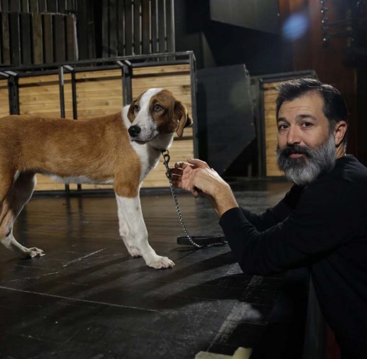 Shelter dog steals spotlight in ‘Of Mice and Men’