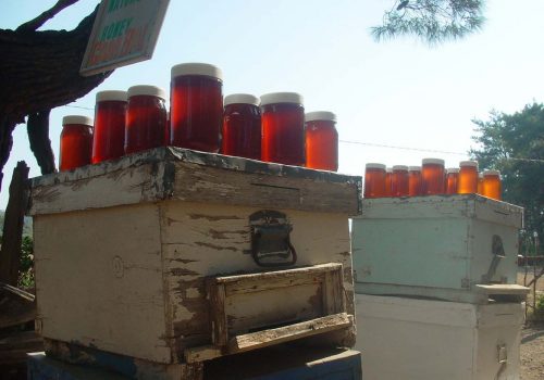 Turkish honey export revenues soared 60 pct in 2017