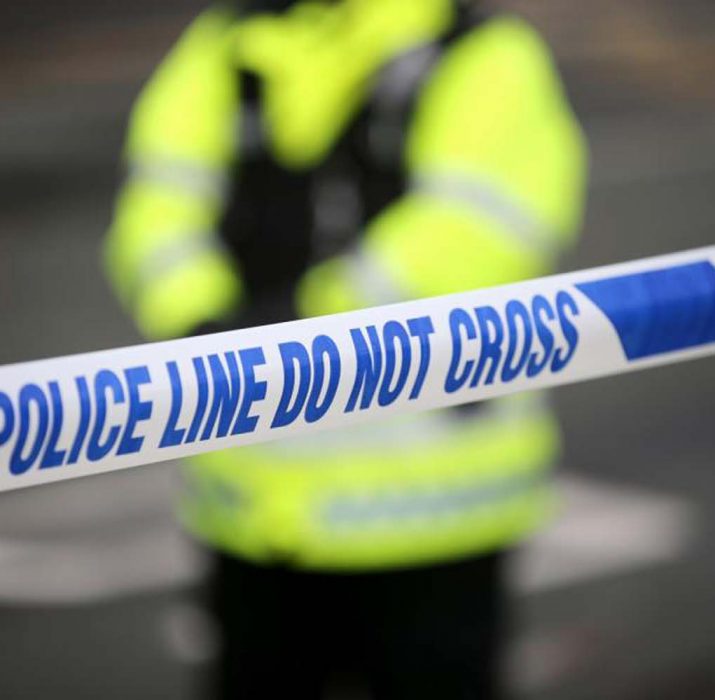 Man fatally stabbed in North London