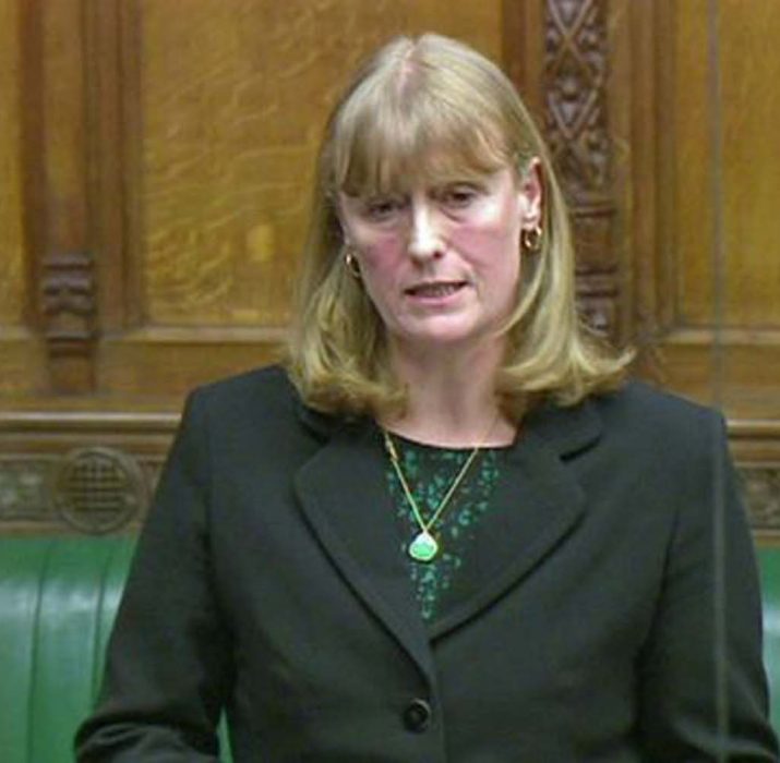 MP Joan Ryan urges for ‘Olive Branch Attack’ to end