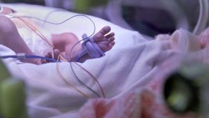 Woman held in baby deaths probe