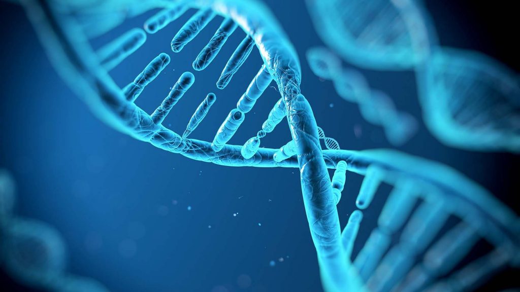 İnsan embriyosunun ‘genleri değiştirilebilir’