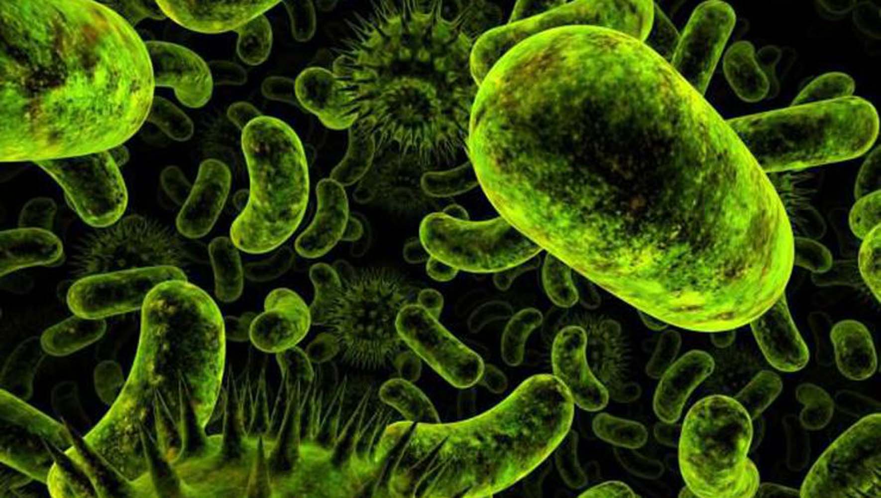 Вредоносные организмы. Зеленые бактерии. Разные бактерии. Красивые бактерии. Бактерии фон.