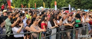 Day-Mer festivaline binlerce kişi katıldı