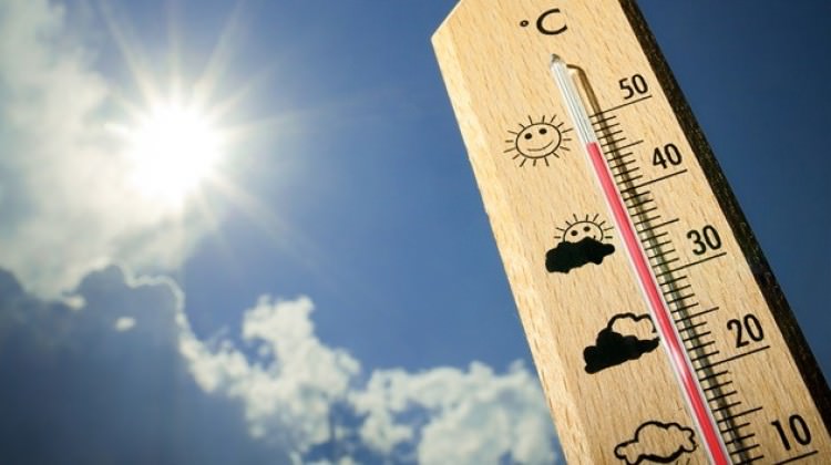 Avrupa’da yılın en sıcak günleri