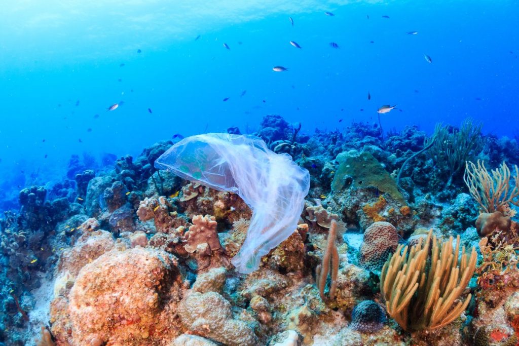 Single use plastics banned by European Parliament