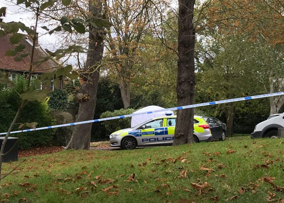 Hendon’daki cinayetle ilgili bir kadın tutuklandı