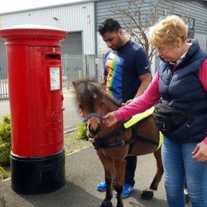 Digby, görme engelli genç için İngiltere’nin ilk rehber atı olacak