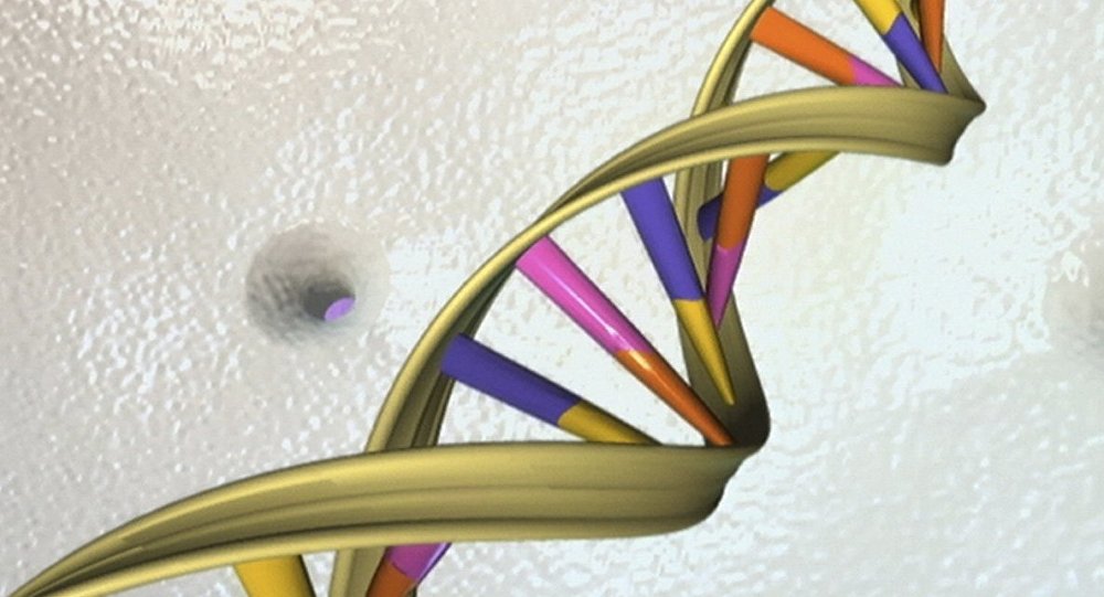 Bitkisel hayattaki kadının doğum yapmasının ardından hastane çalışanlarına DNA testi