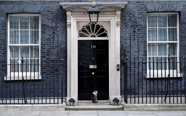 İngiltere Başbakanlığı kedisi yağmurda kaldı