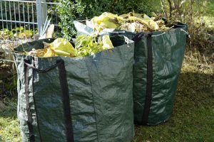 Haringey number 1 for ‘illegally dumping garden waste’