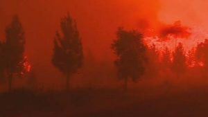 Portekiz’deki orman yangını