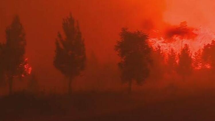 Portekiz’deki orman yangını