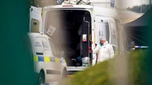 Essex lorry deaths: man and woman held on suspicion of manslaughter